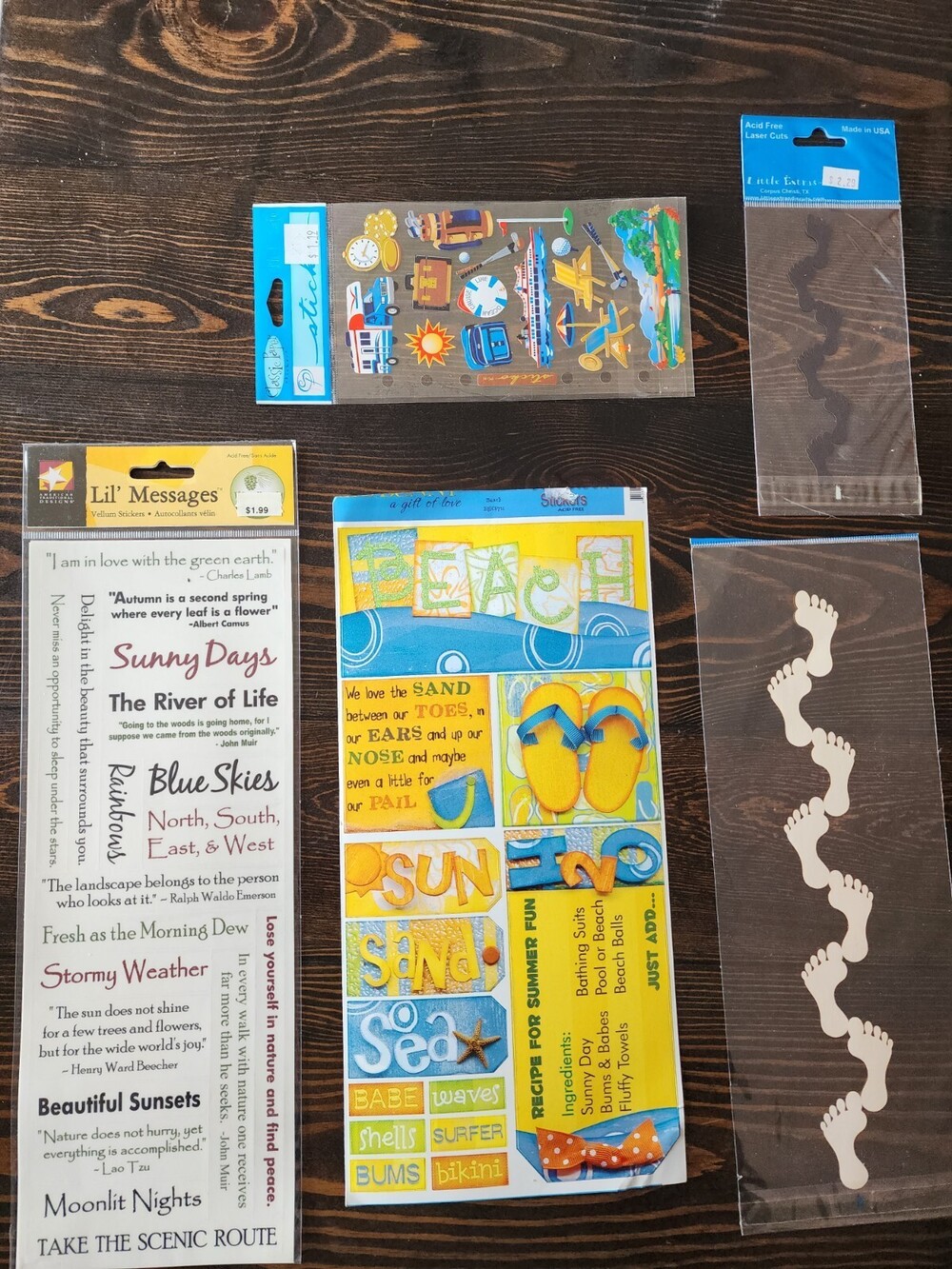 Beach Scrapbooking Card Stock Stickers Lot Mixed NEW Travel Stickopotamus #5